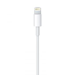 Apple Lightning to USB Cable - Kabel połączeniowy z Lightning do USB (1 m)